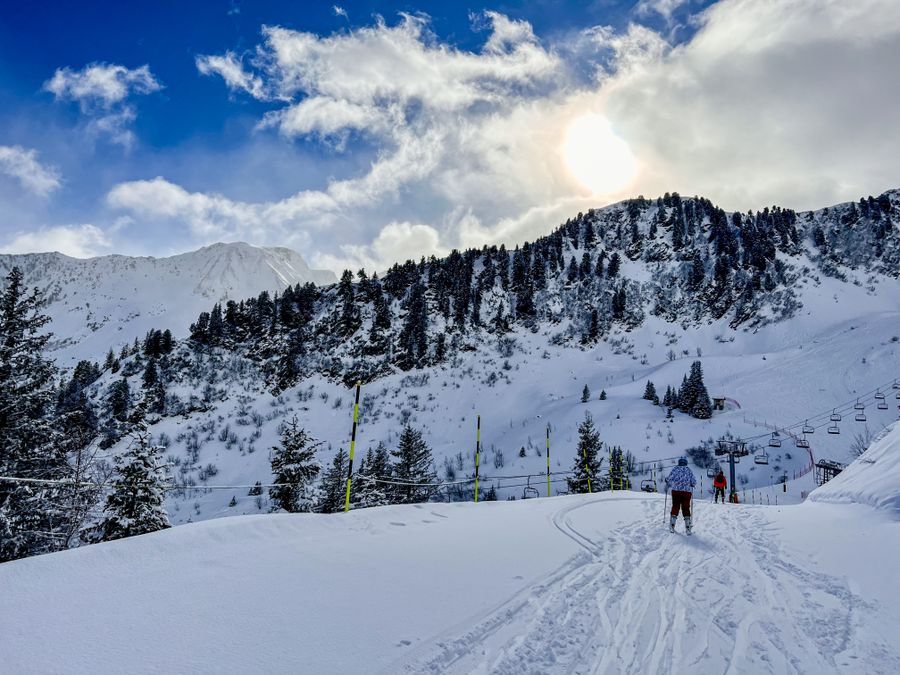 Alta Ski Area